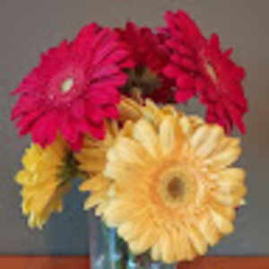 Meet your Posher, Donna